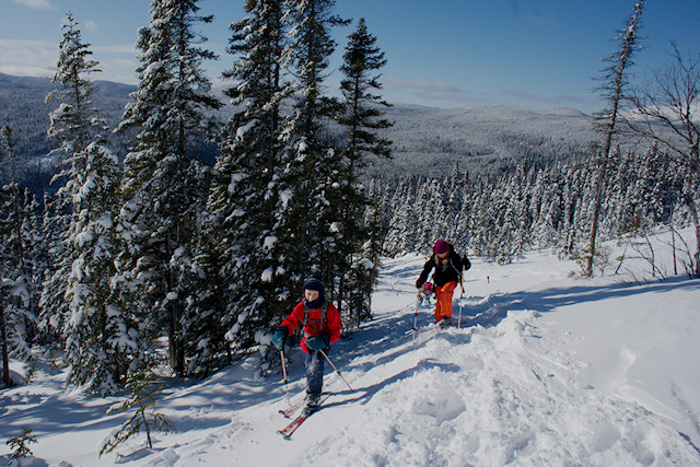 kids backcountry skiing