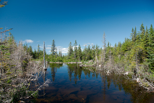 Pond near Lac aux Americains