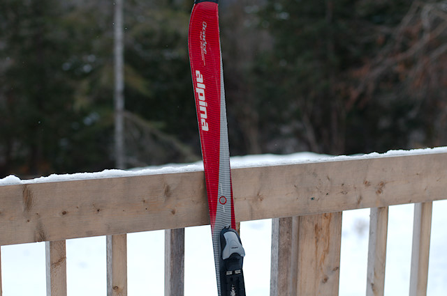 Alpina Condor Skis