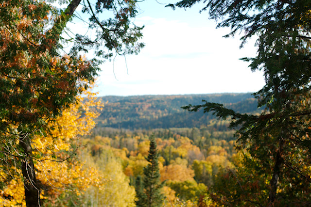 petite cascapedia river valley autumn