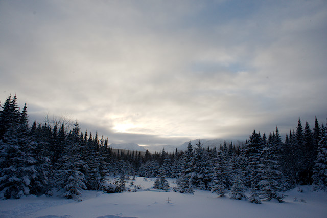 winter view of Mont Albert