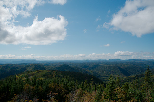 Pin Rouge - From the peak