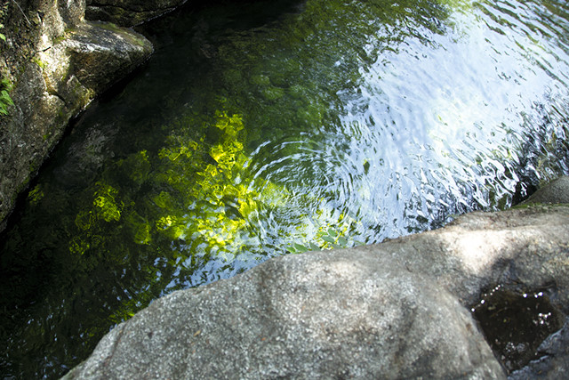 Emerald Pool, Baldface Circle Trail, NH