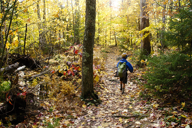 Mount Kearsarge North Trail in October