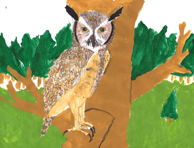 Horned Owl - Laurent Tougas