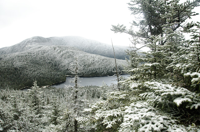 Overlooking Speck Pond on a Crisp Frosty October Day, ME