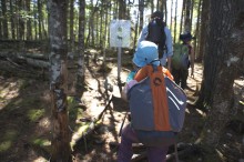 Girl hiking Bluff Trail Nova Scotia.