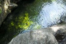 Emerald Pool New Hampshire