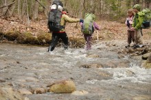 stream crossing