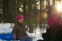Winter sleds in the woods